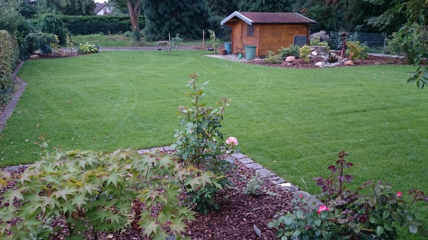 Gartenpflege und Bepflanzung in Bonn und im Rhein-Sieg-Kreis